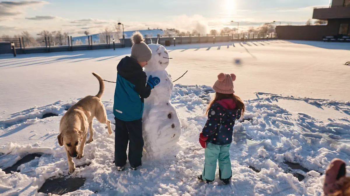MUÑECO DE NIEVE-HISTORIA-NAVIDAD