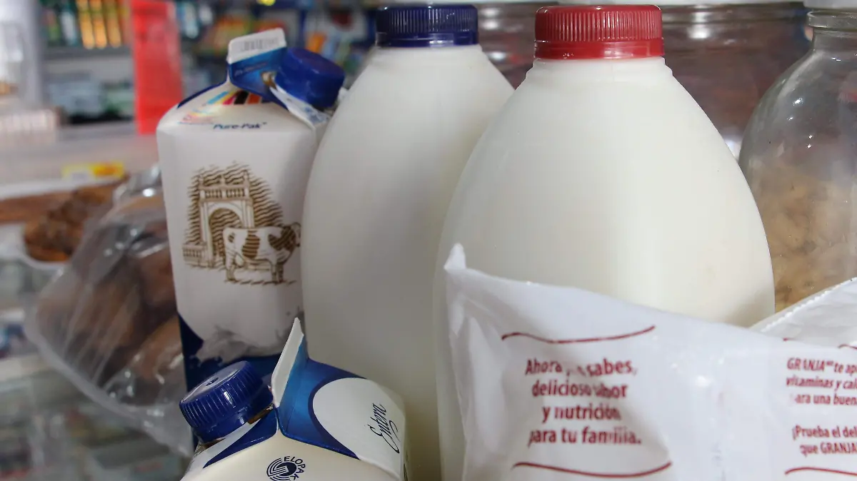 VACAS-LECHE-ESTABLOS