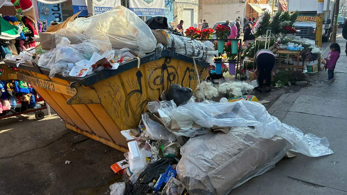 SATURACIÓN DE BASURA 2