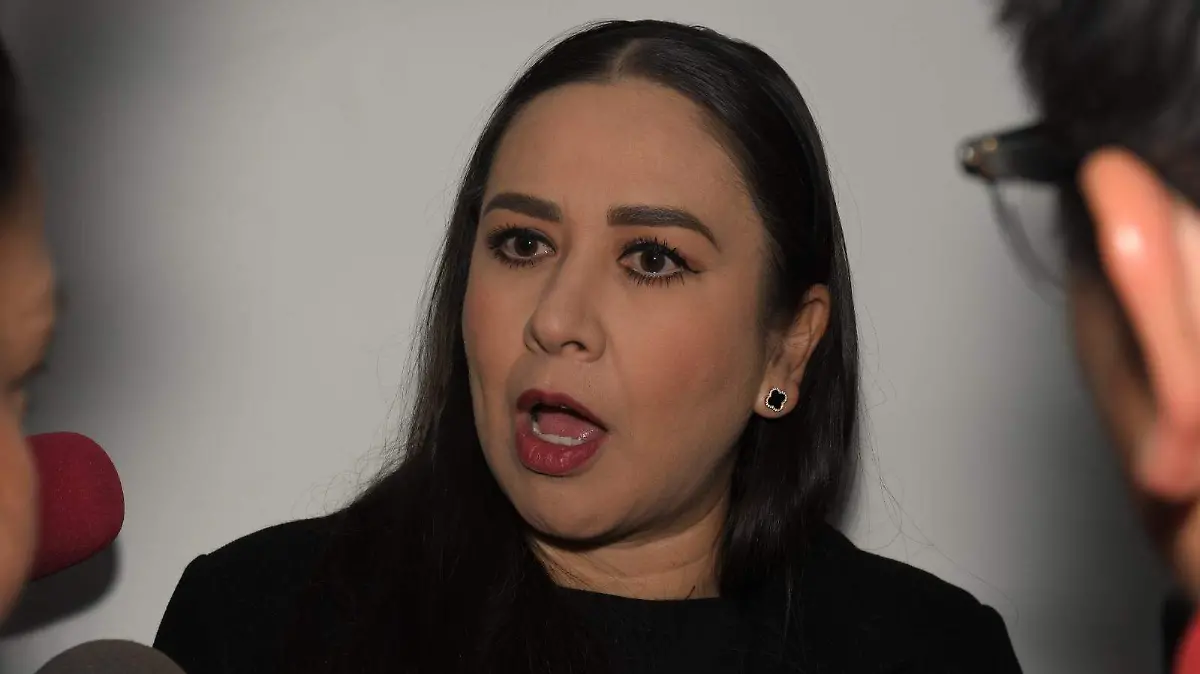 DIPUTADA LUCIA DE LEÓN