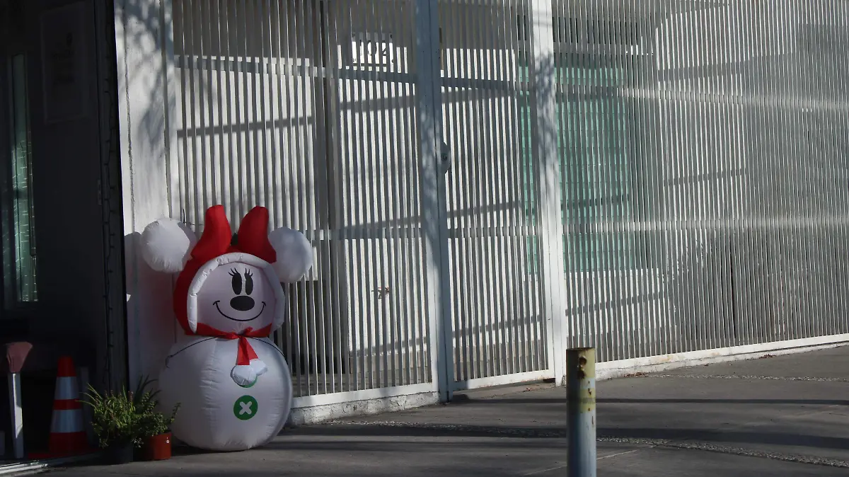 COLONIAS-DECORACIONES-NAVIDAD