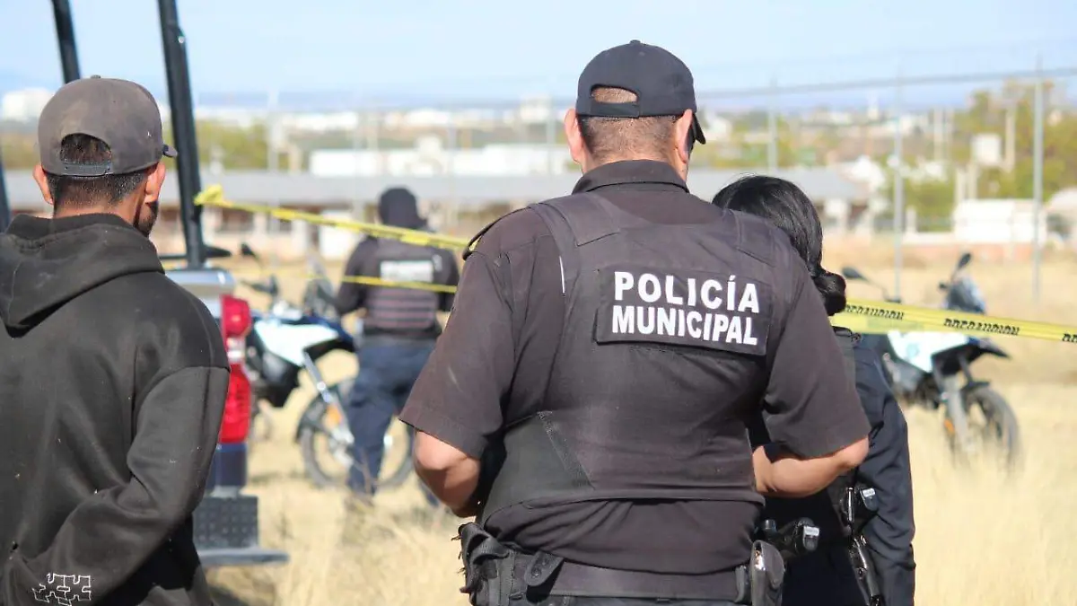 REDUCCIÓN DELITOS (1)