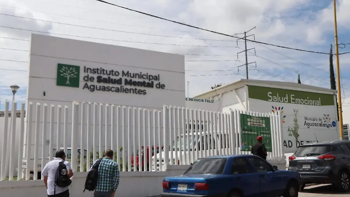 IMASAM-SALUD MENTAL-APOYO