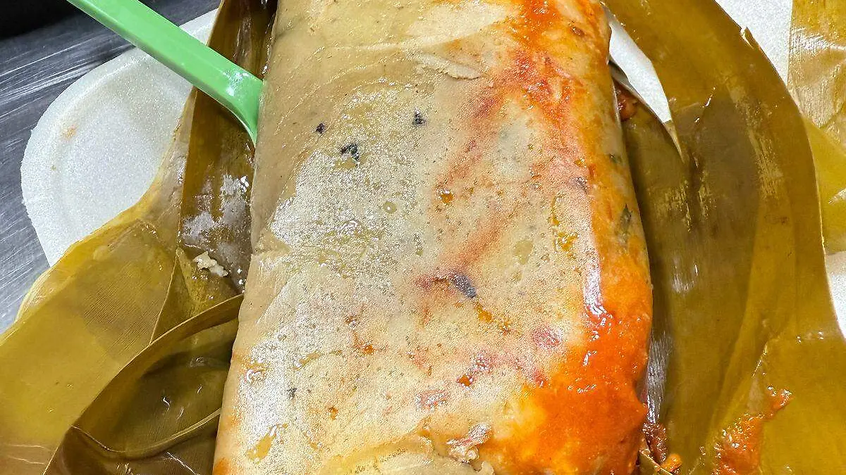 WhatsApp Image 2025-04-26 at 8.16.50 PM