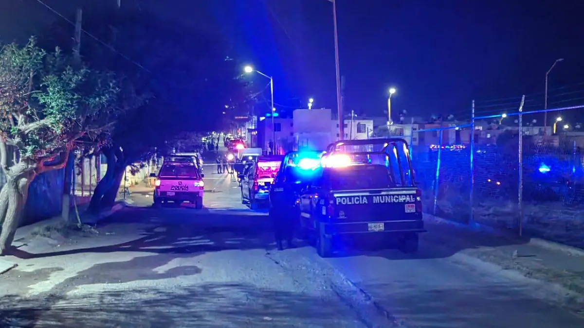 WhatsApp Image 2025-12-27 at 20.57.23