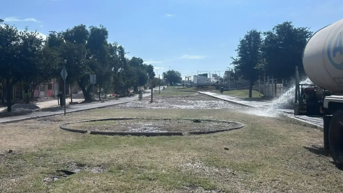 LINEA VERDE-CUIDADOS-MEDIO AMBIENTE