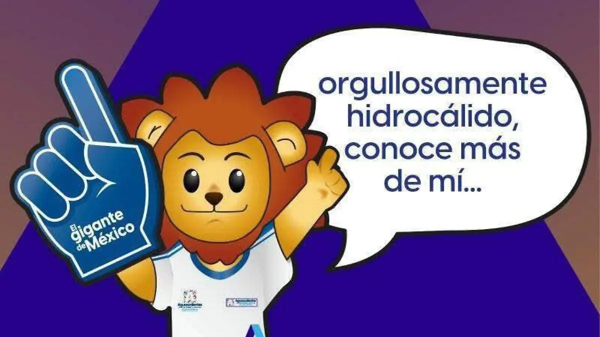 WhatsApp Image 2025-12-29 at 10.22.13 AM