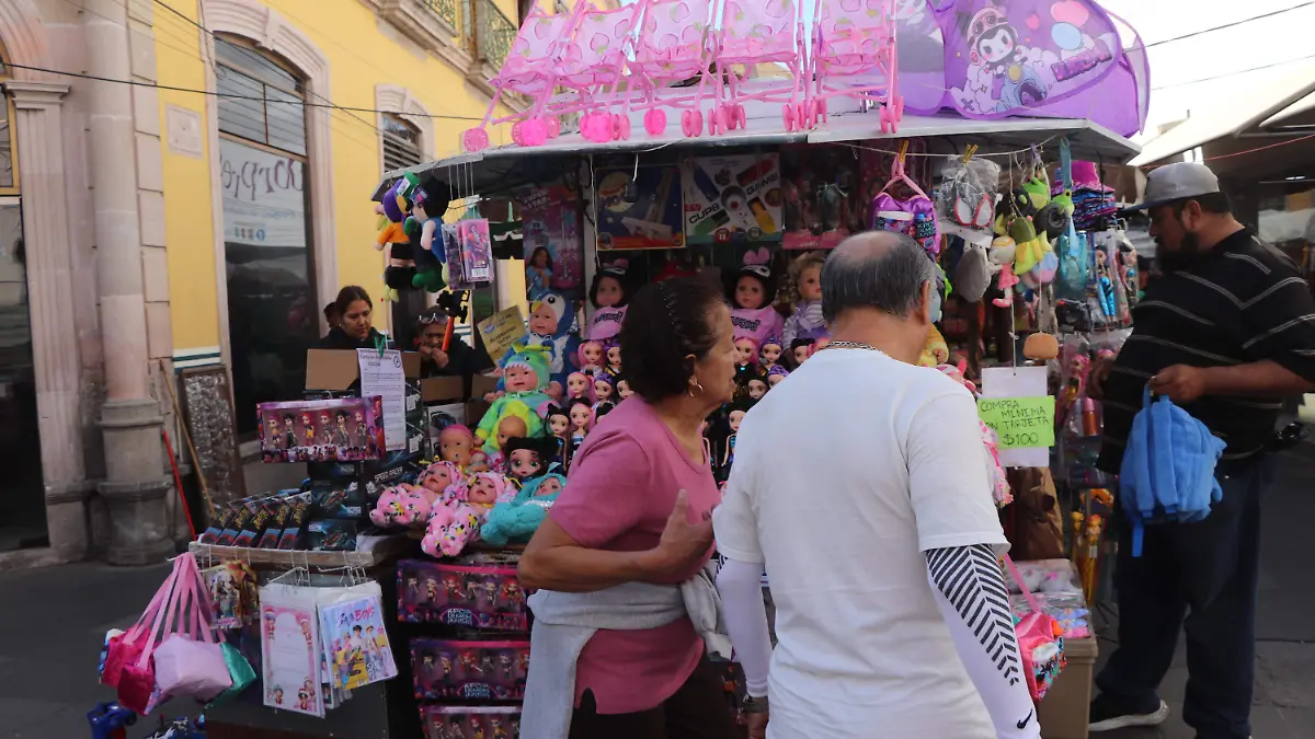 COMERCIOS DEL CENTRO (9)