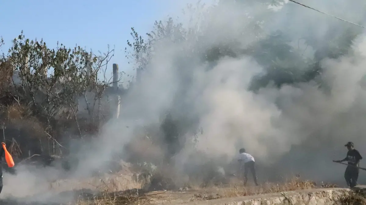 CONTAMINACION NORMALIZADA (1)