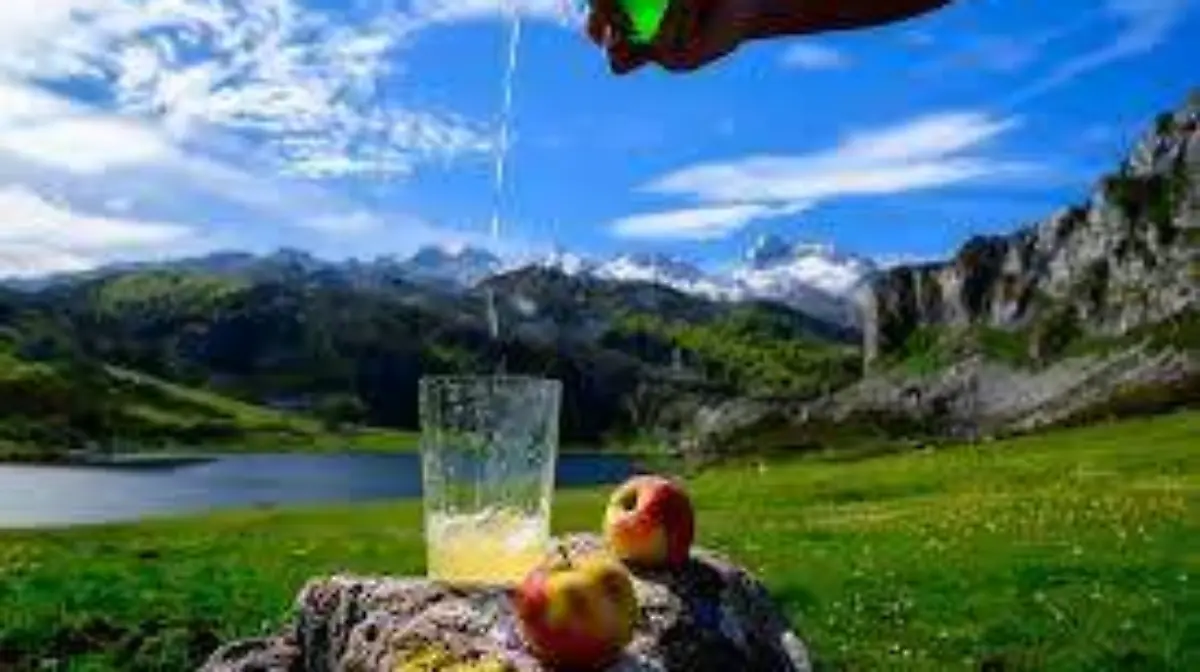 SIDRA_CENA_BRINDIS_AÑO NUEVO