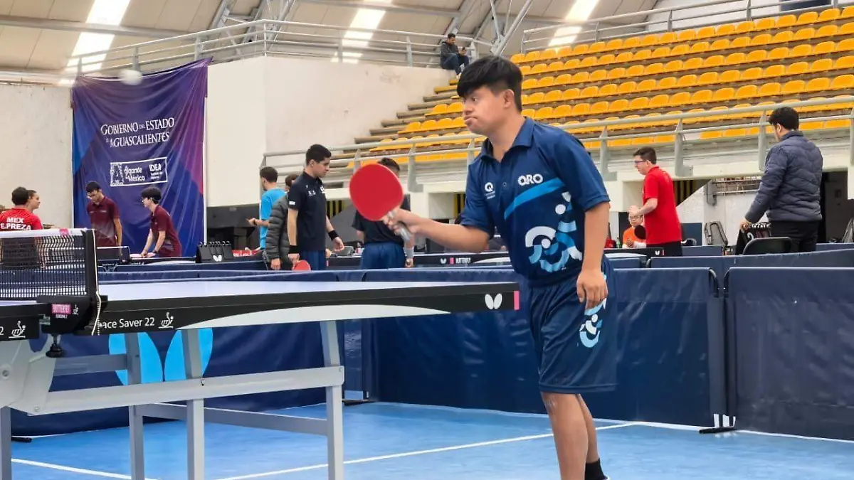 TENIS DE MESA-DEPORTES-JUEGO