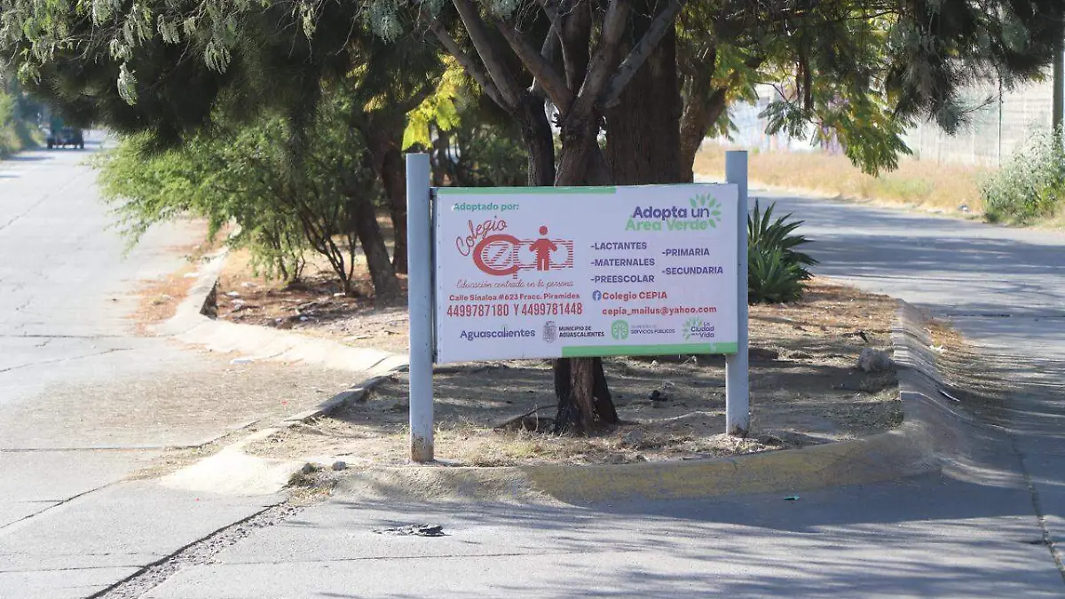 WhatsApp Image 2026-01-04 at 18.58.56