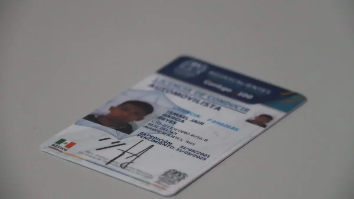 LICENCIAS DE CONDUCIR_TRÁMITES