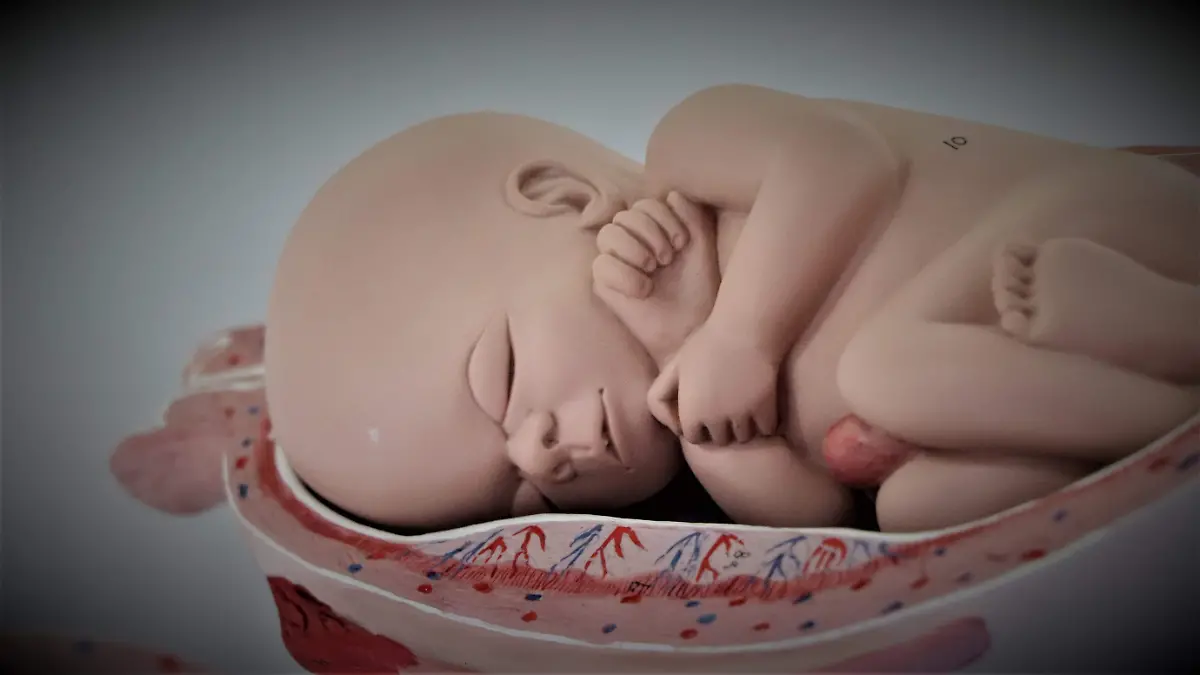 ABORTO_PROVIDA_INTERRUPCION DEL EMBARAZO