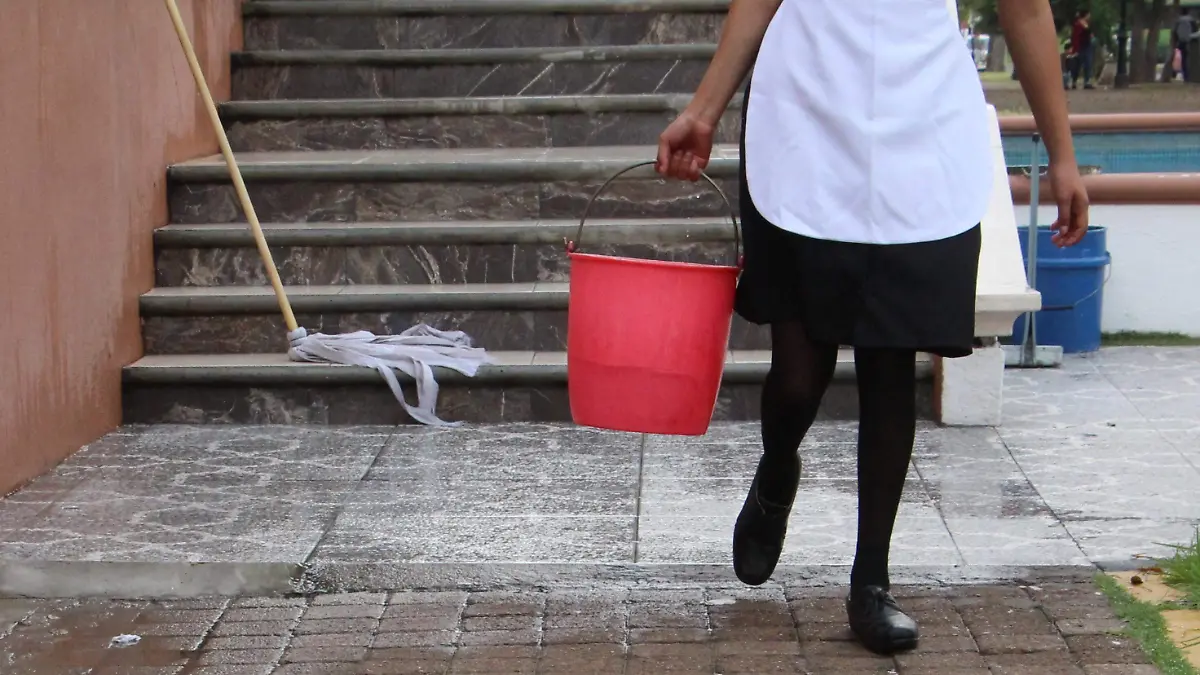 SEGURO-IMSS-TRABAJADORAS DOMÉSTICAS