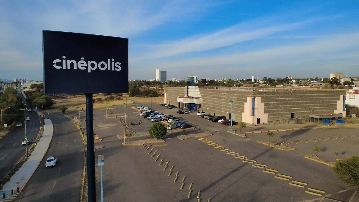 WhatsApp Image 2026-01-08 at 5.31.22 PM