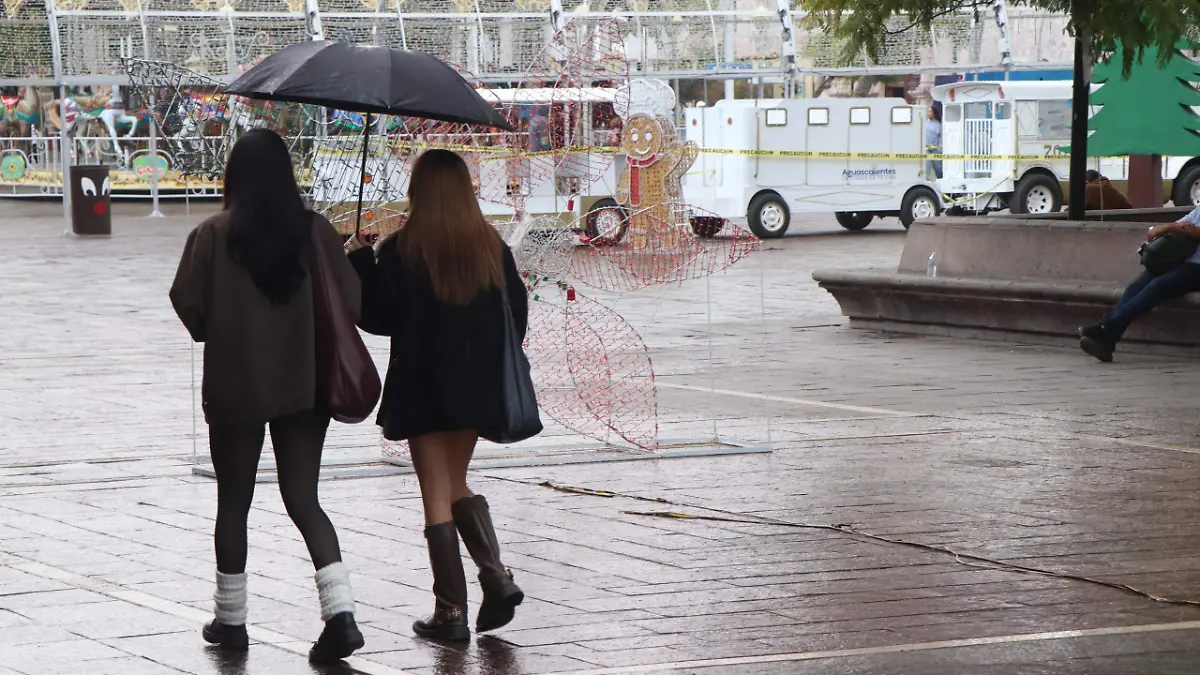 WhatsApp Image 2026-01-11 at 13.16.21