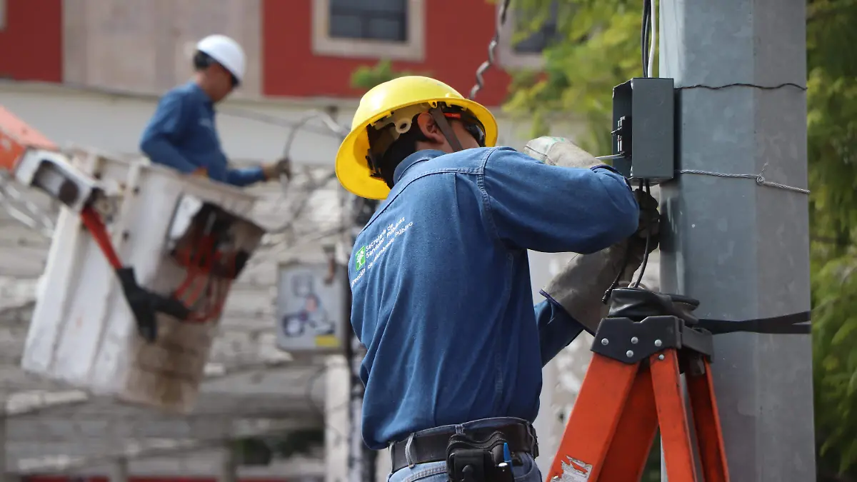 LUMINARIAS RECOLECCIÓN BASURA (10)