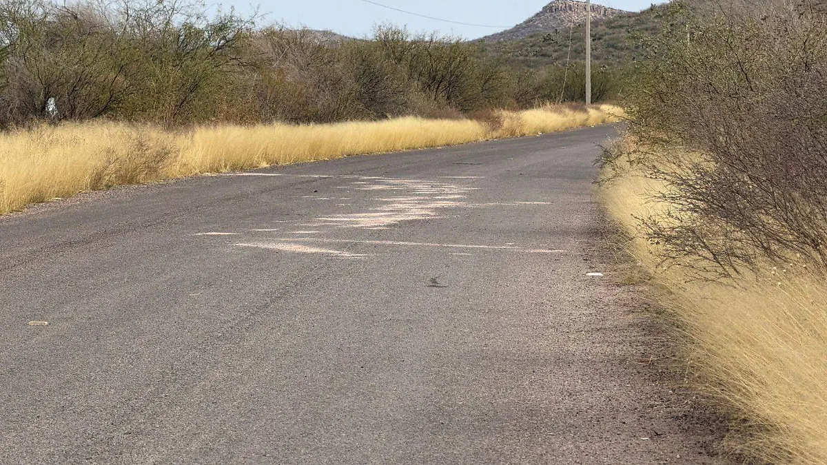 HALLAZGO_FEMINICIDIO_VIOLENCIA