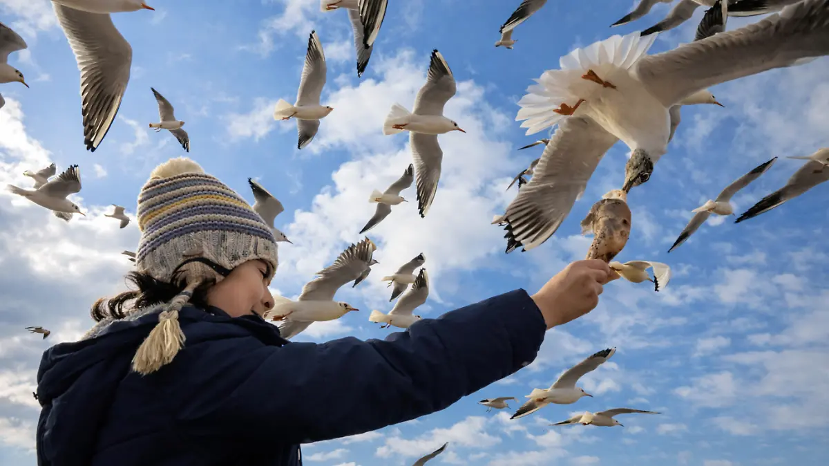 Captura de pantalla 2026-01-13 a la(s) 12.41.46