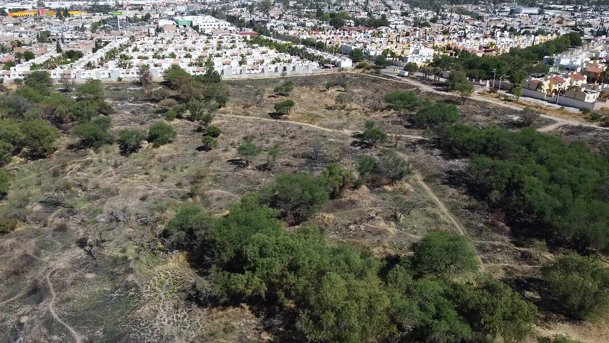  INCENDIOS, LA PONA, PASTO SECO (2)