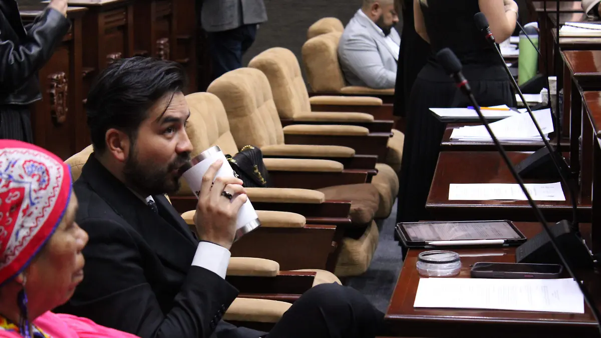 INICIATIVA, DIPUTADOS, FALTAS (2)