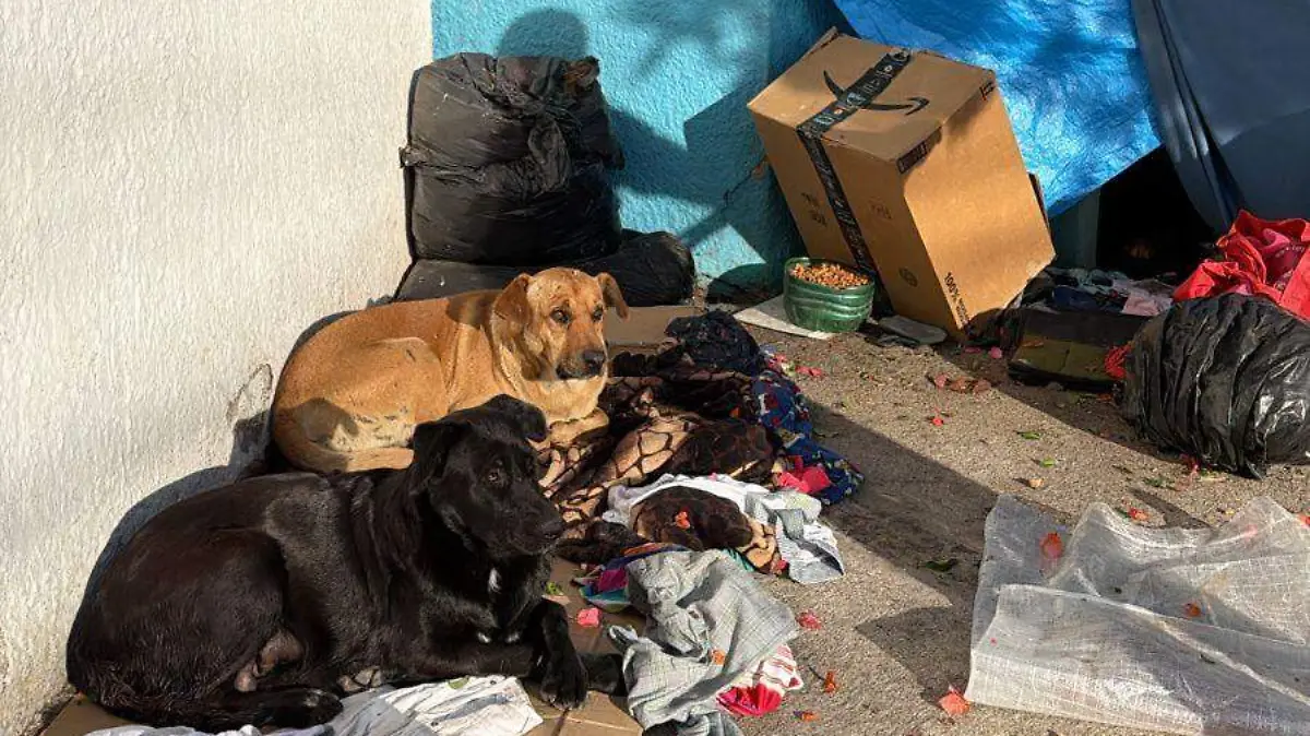 TERESITA_FALLECIMIENTO_VIA PUBLICA