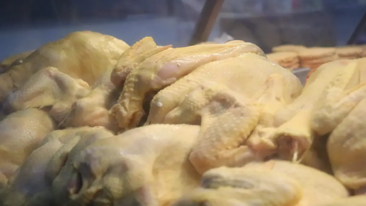 PRODUCCIÓN POLLO (4)