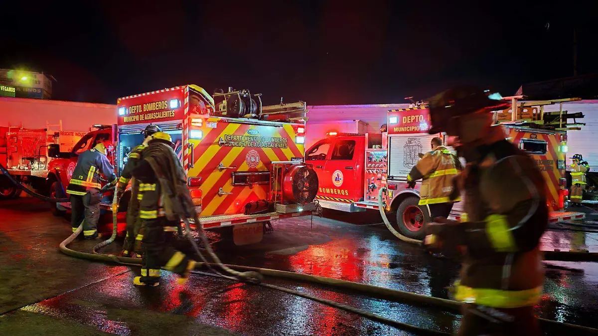 INCENDIOS AGROPECUARIO (1)