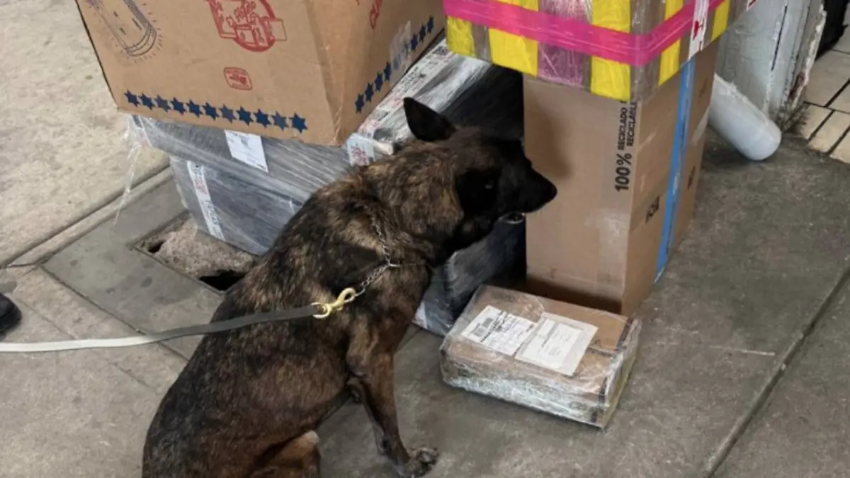 Captura de pantalla 2026-01-15 a la(s) 20.45.24