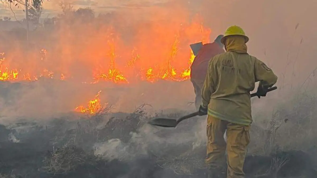 INCENDIOS_CAUSAS_PREVENCIÓN
