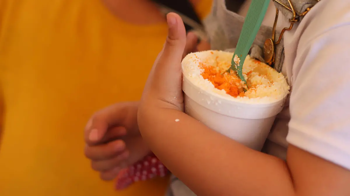 FESTIVAL DE LA CHASKA_ELOTE_AGS