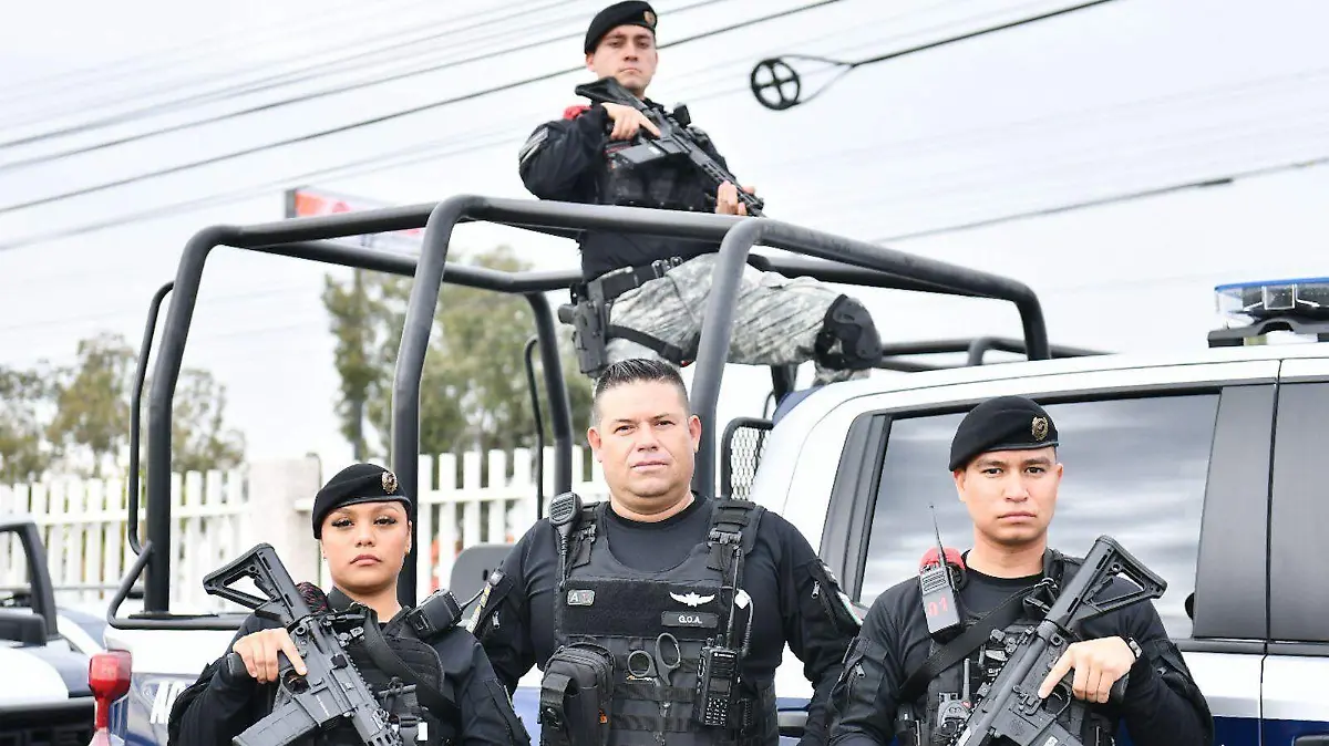 PEREGRINOS-PROGRAMA-SEGURIDAD