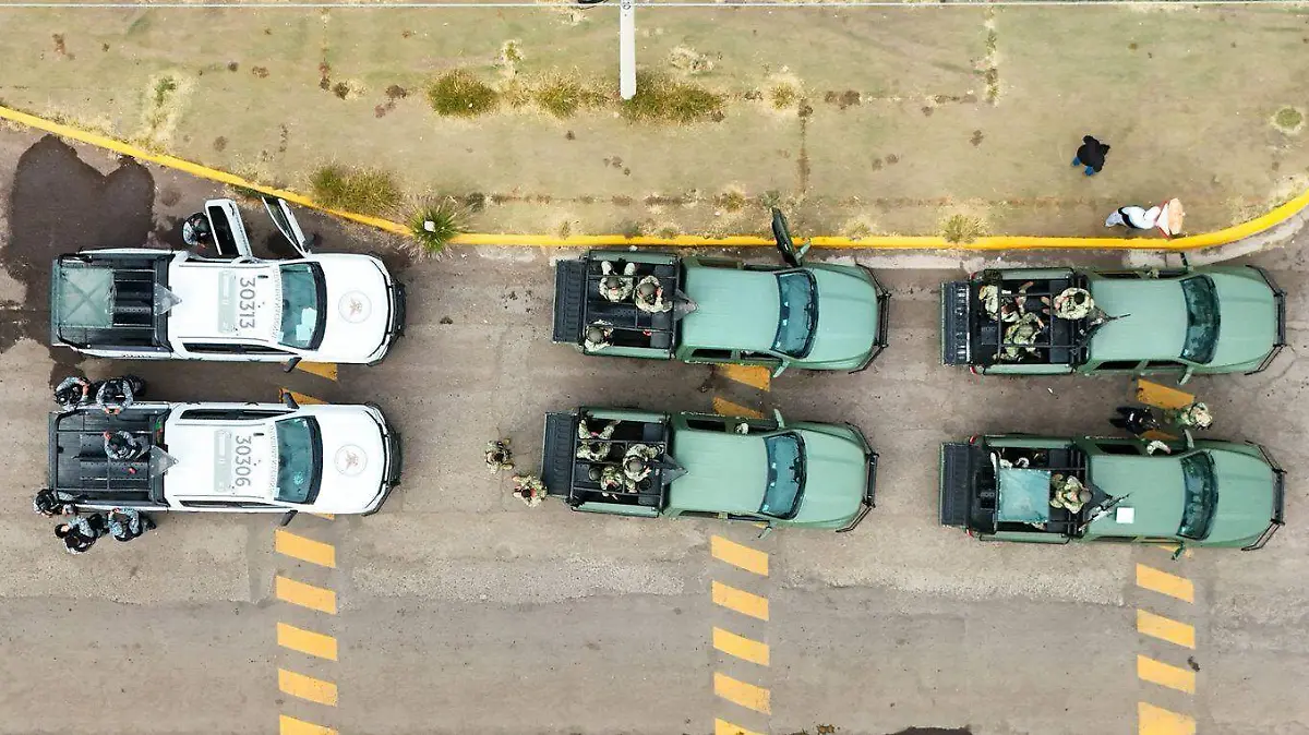 PEREGRINOS-PROGRAMA-SEGURIDAD