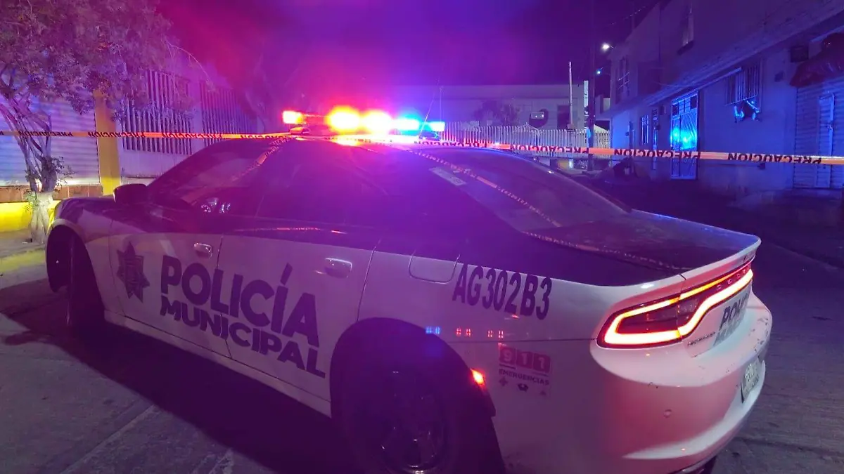 WhatsApp Image 2026-01-18 at 22.23.51