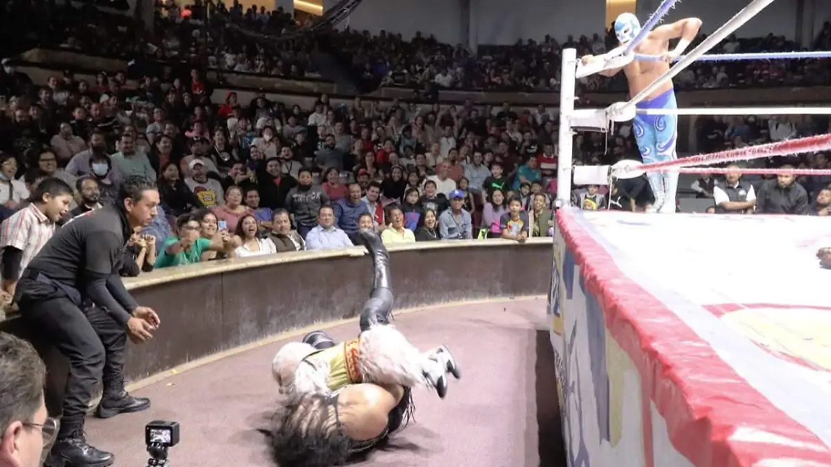 WhatsApp Image 2026-01-20 at 11.17.58 AM (1)