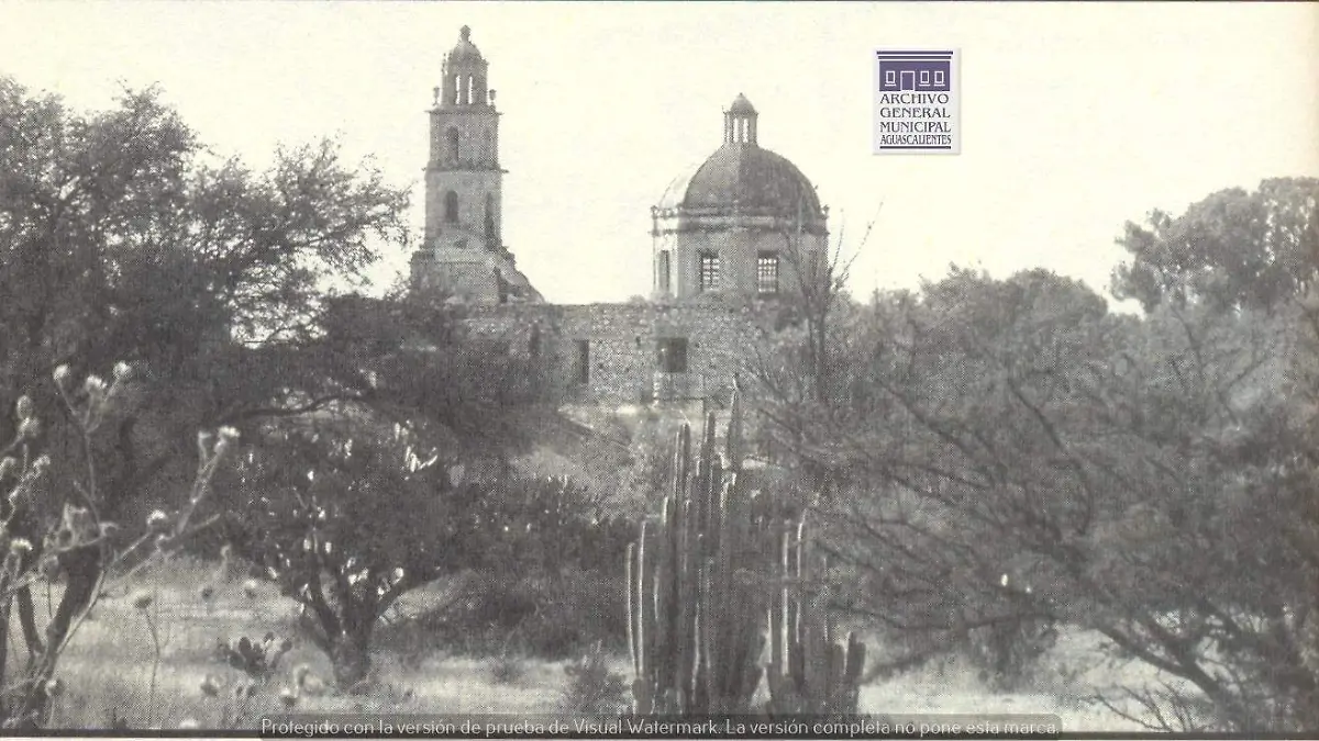 HACIENDA PEÑUELAS 1