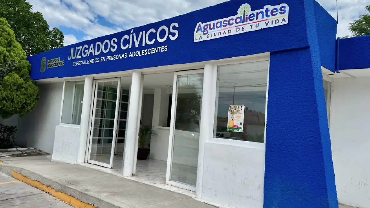 JUZGADO ADOLESCENTE_PATRIA POTESTAD