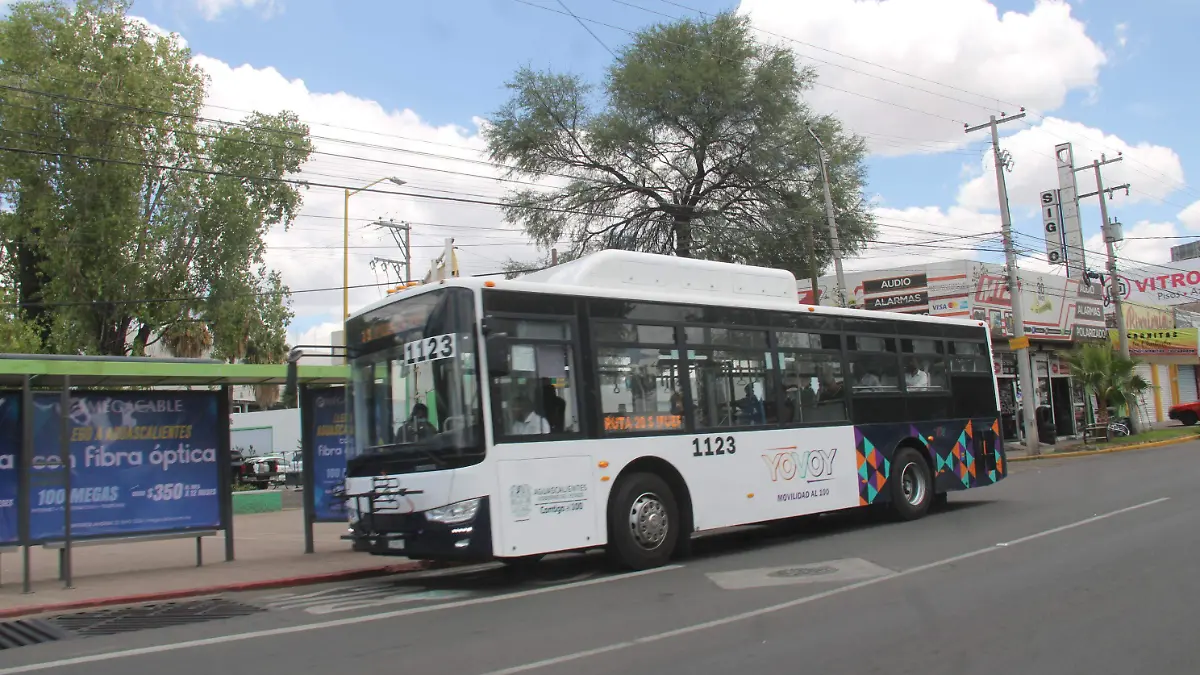 MUJERES, CONDUCTORAS, CAMIÓNES (3)