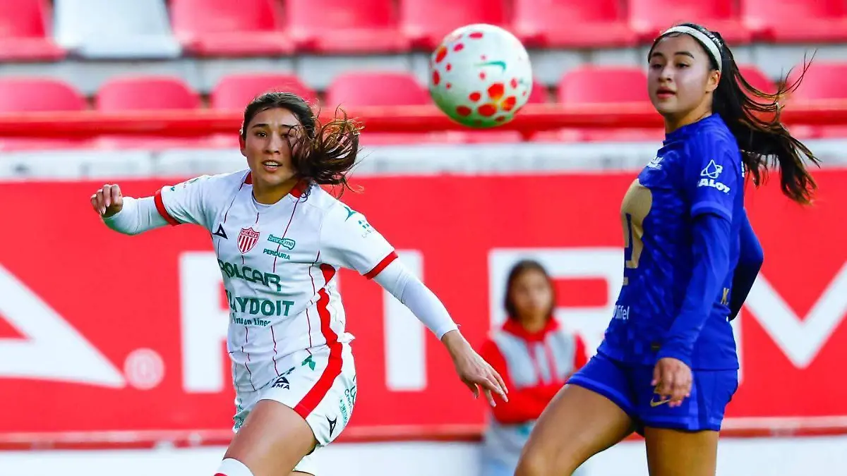 WhatsApp Image 2026-01-21 at 8.33.39 PM