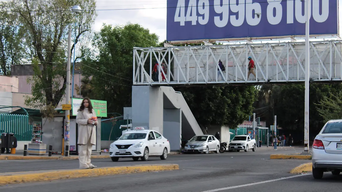 PUENTES PEATONALES (5)