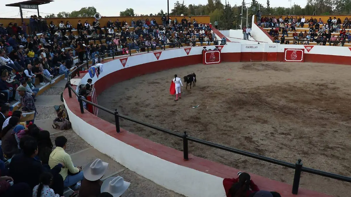 IDEA_TORETOS_GRAN FINAL