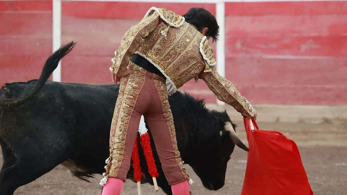 IDEA_TORETOS_GRAN FINAL