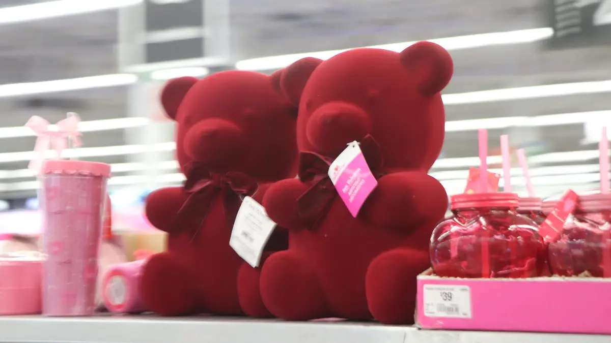 AMBULANTAJE CENTRO (3)