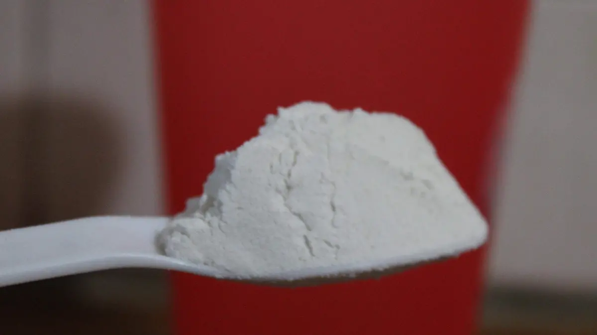  GANADO, VACAS, LECHE, ELCHE EN POLVO (3)