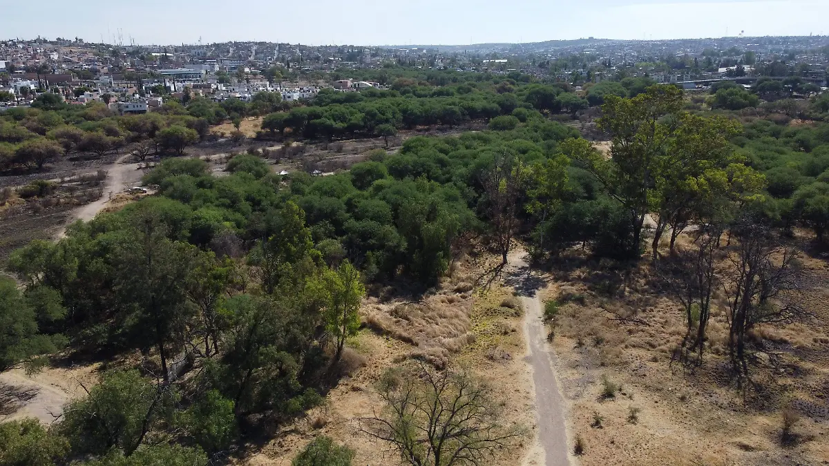 SALVEMOS LA PONA_INCENDIOS_RESGUARDO 