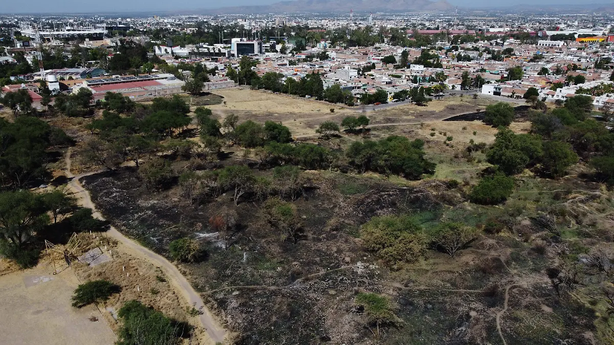 SALVEMOS LA PONA, INCENDIOS, RESGUARDO (3)