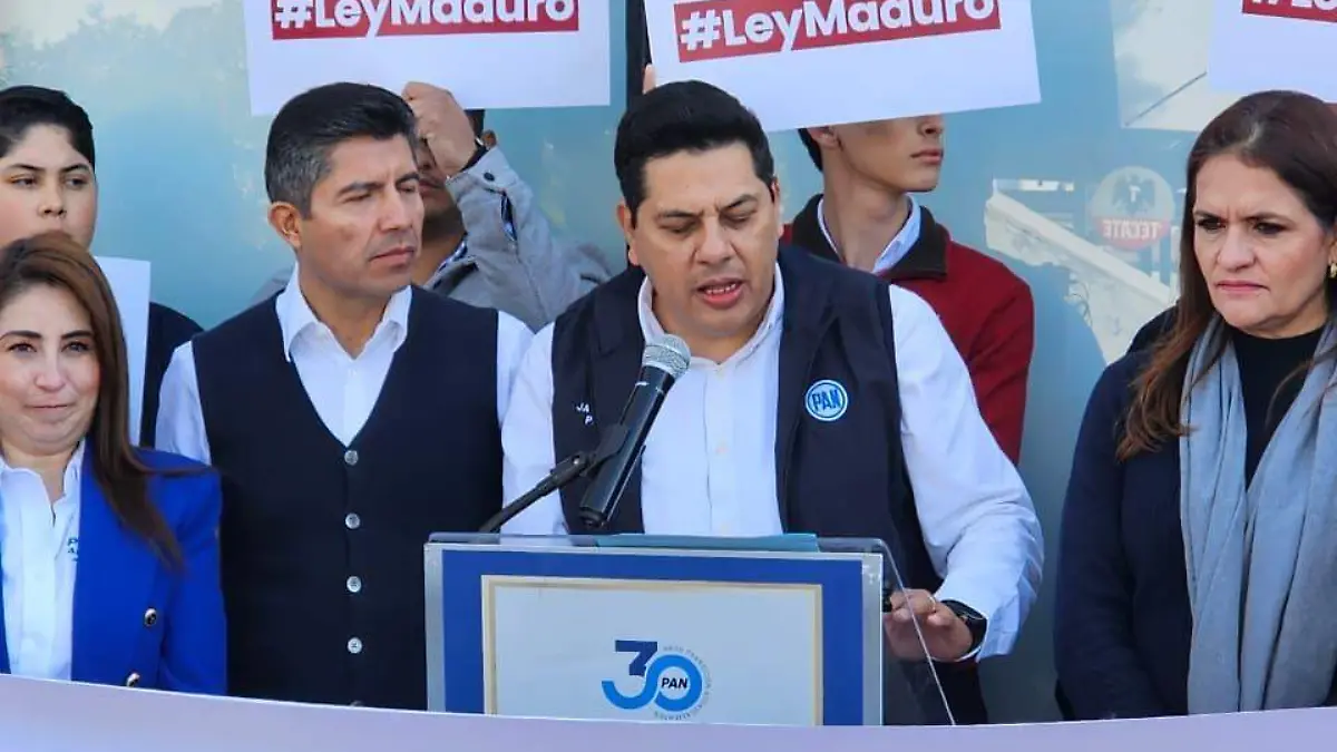 COMITE DIRECTIVO-PAN-REFORMA ELECTORAL