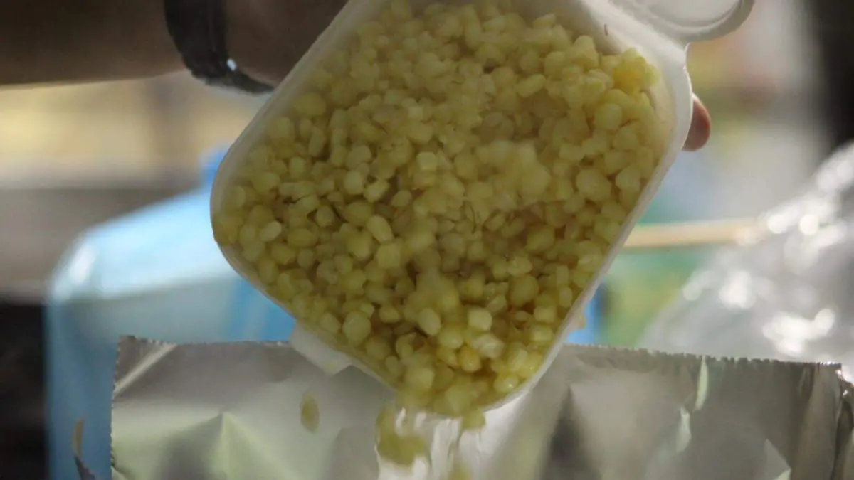 FESTIVAL CHASCA_ELOTES_COMIDA