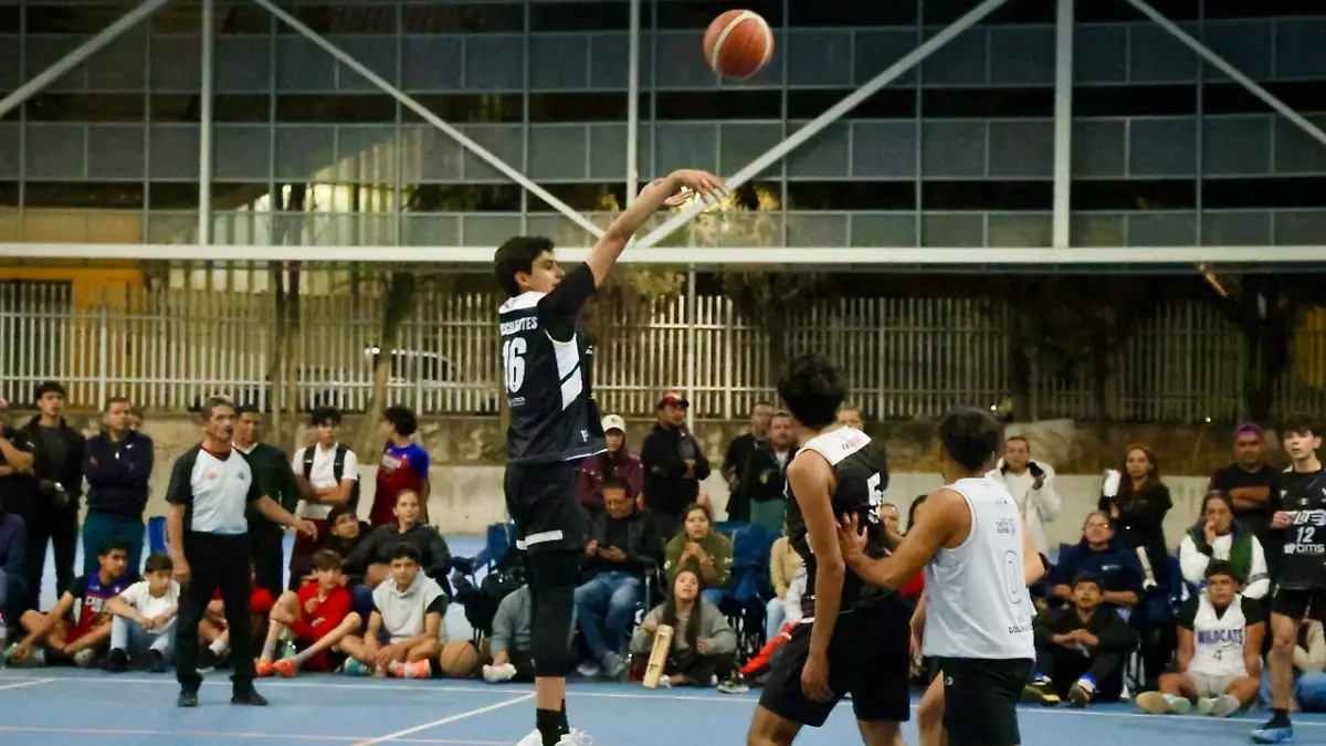 WhatsApp Image 2026-01-27 at 1.24.58 PM